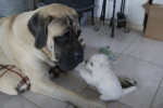 friends for ever